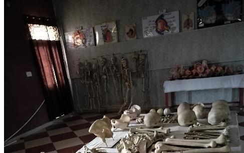 Deep Nursing Academy New Delhi Students Activity photo 12